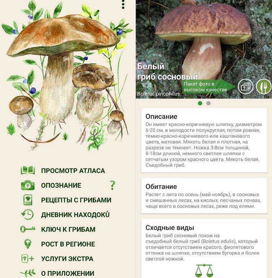 Приложения для Android