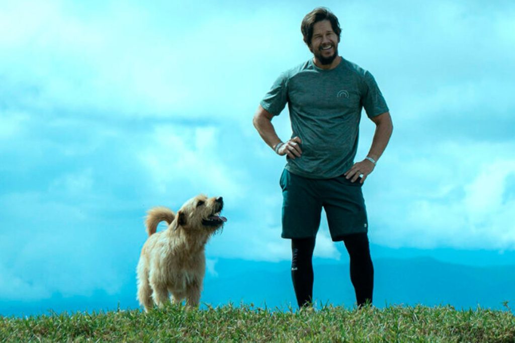 фильмы про животных