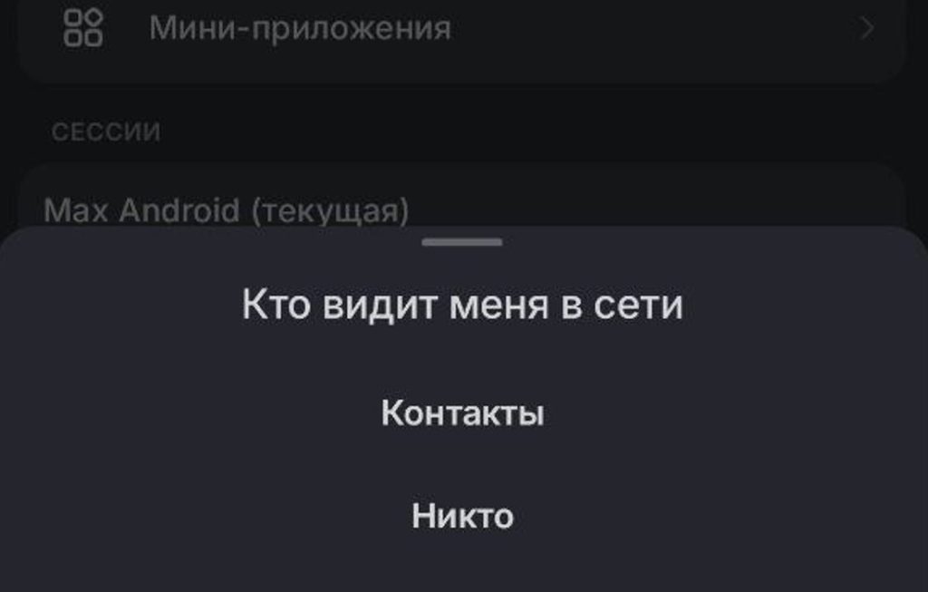 настройки мессенджера MAX