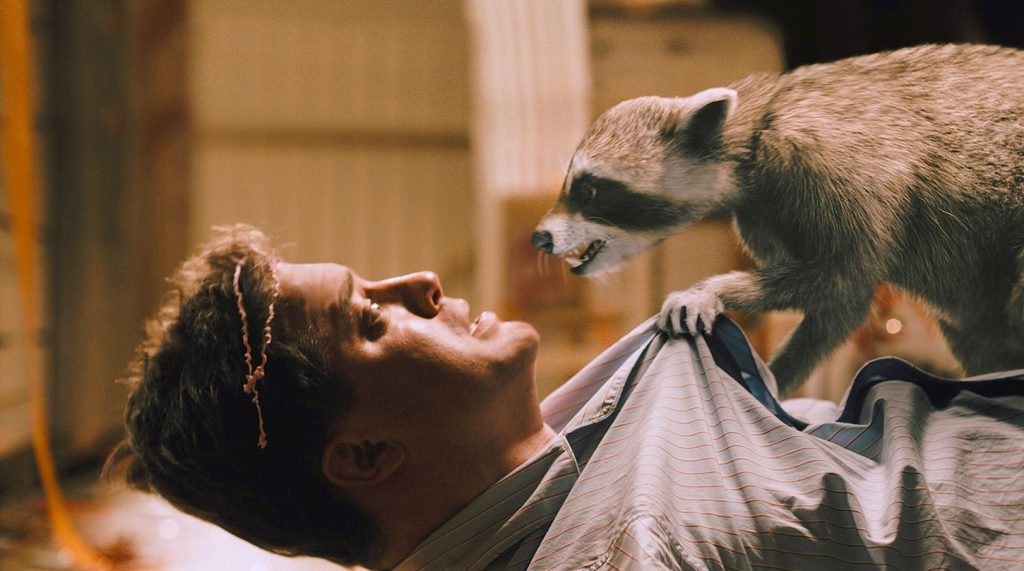 фильмы про животных