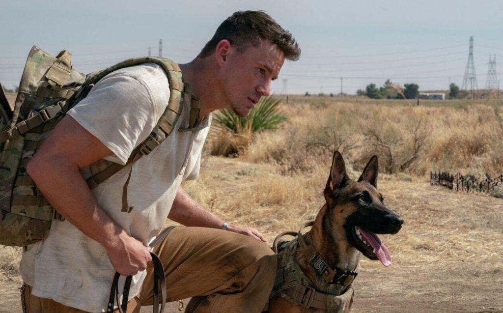 фильмы про животных