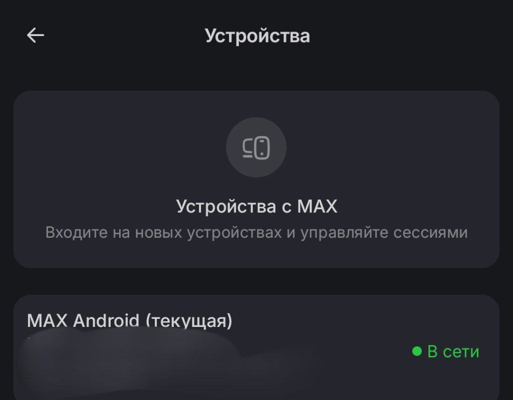 переписку в мессенджере MAX читают