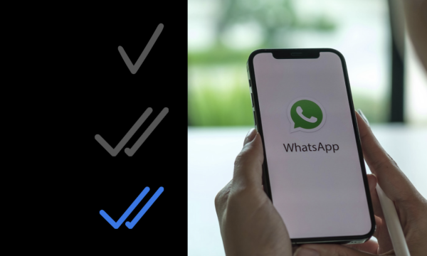 Галочки WhatsApp